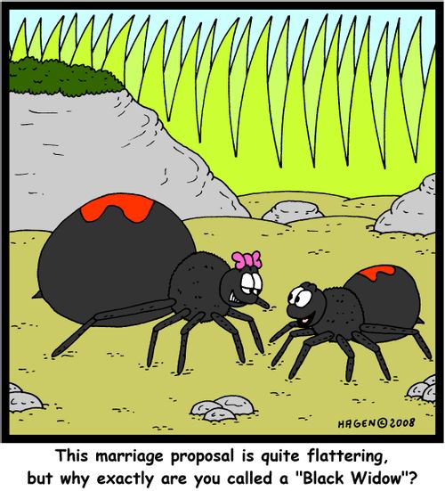 'This marriage proposal is quite flattering, but why exactly are you called a 'Black Widow'?'