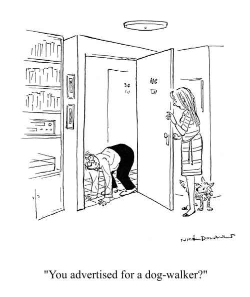 'You advertised for a dog-walker?'