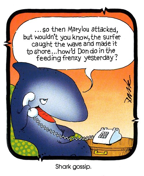 Shark Gossip.