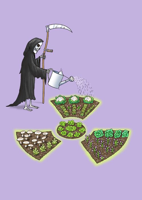 GM Foods.