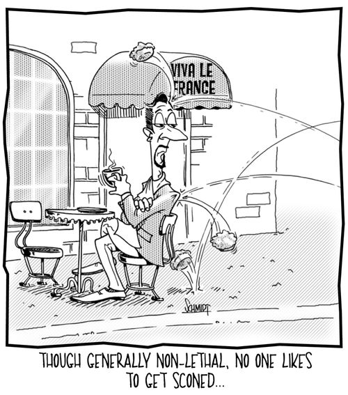 Though generally non-lethal, no one likes to get sconed...