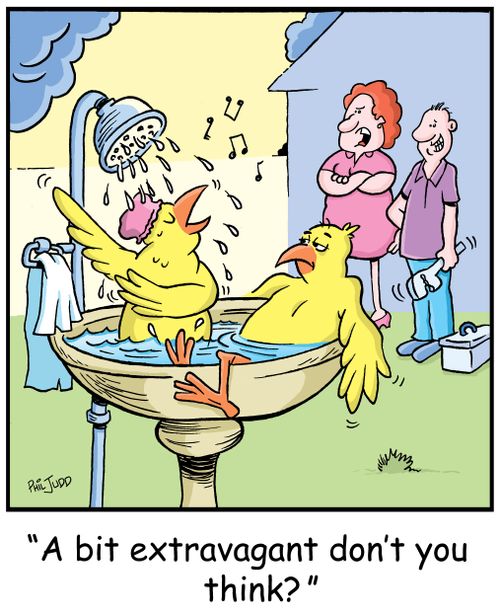 'A bit extravagant don't you think you think?'