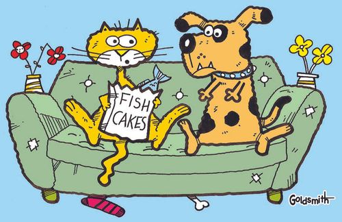 Dog & Cat Friends.