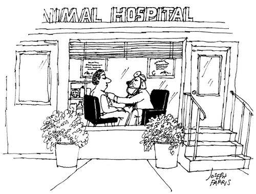 Animal Hospital.