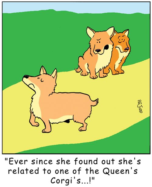 'Ever since she found out she's related to one of the Queen's Corgi's!'