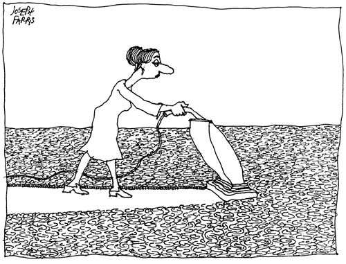Carpet Cleaner.