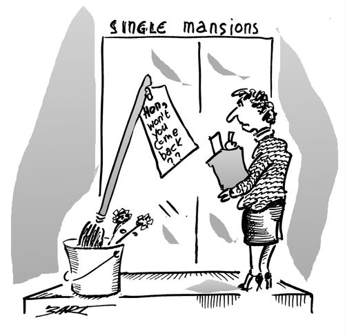 Single Mansions