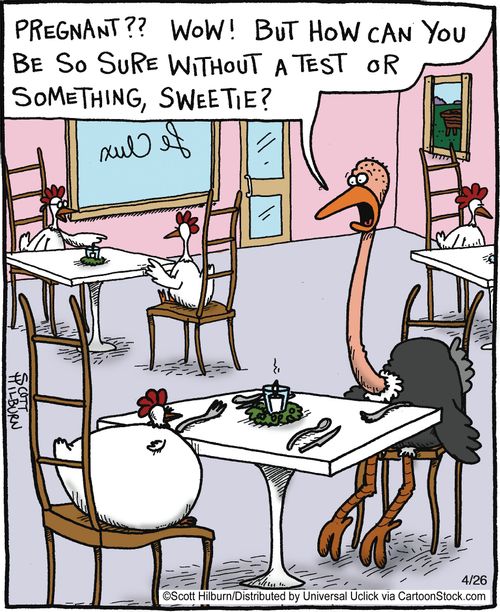 'Pregnant Wow But how can you be so sure without a test or something, sweetie'