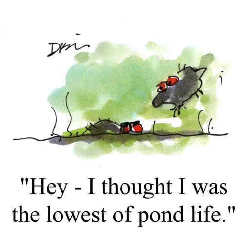 'Hey, I thought I was the lowest of pond life.'