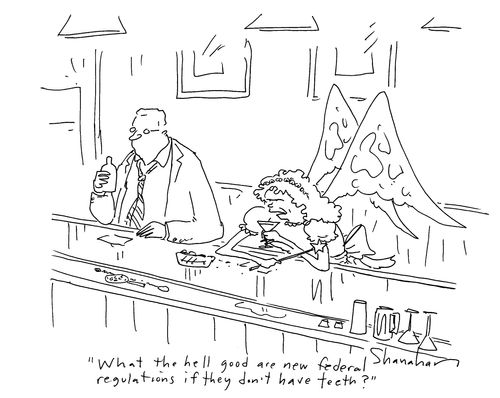 'What the hell good are new federal regulations if they don't have teeth?'