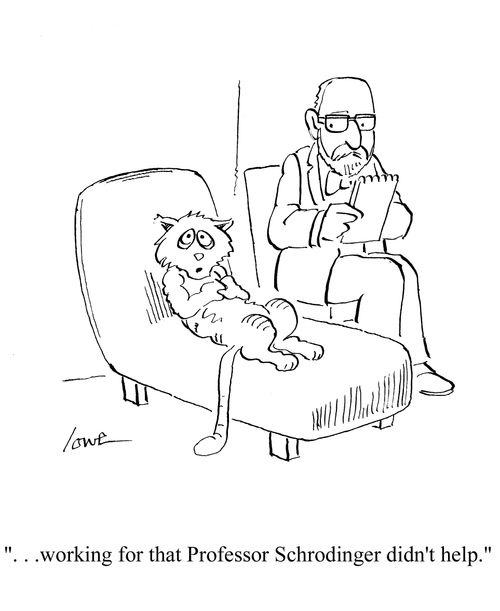 '...working for that Professor Schr?dinger didn't help.'