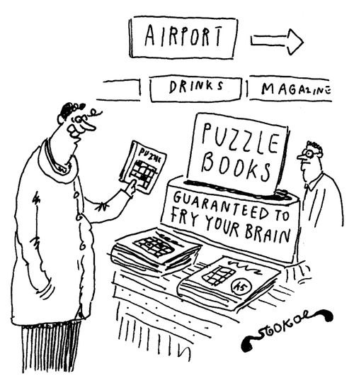 Puzzle books - Guaranteed to fry your brain.