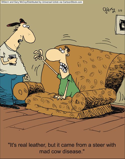 'It's real leather, but it came from a steer with mad cow disease.'