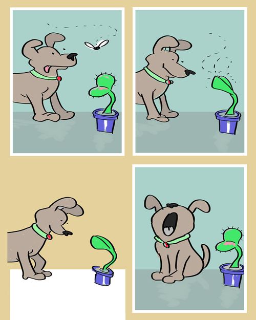 Dog sees venus fly trap catch a fly and copies it...