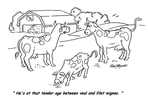 'He's at that tender age between veal and filet mignon.'