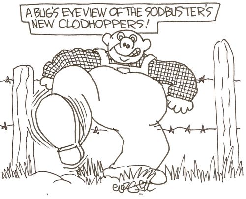 A bug's eye view of the sodbusters new clodhoppers
