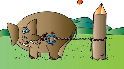 Elephant struggling to escape.
