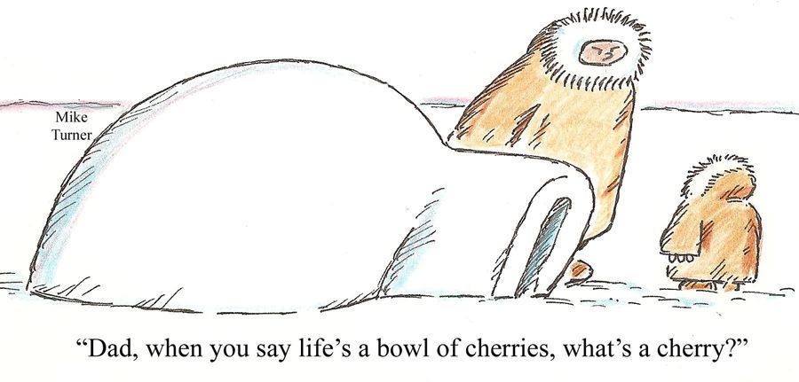 'Dad, when you say life's a bowl of cherries, what's a cherry?'