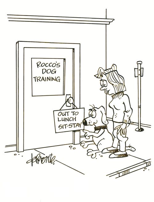 Rocco's Dog Training: Out to Lunch . . . Sit-Stay.