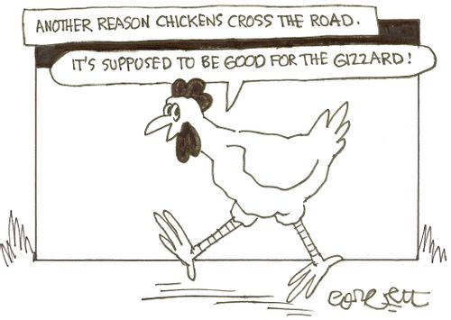 Another reason chickens cross the road: 'It's supposed  to be good for the gizzard!'