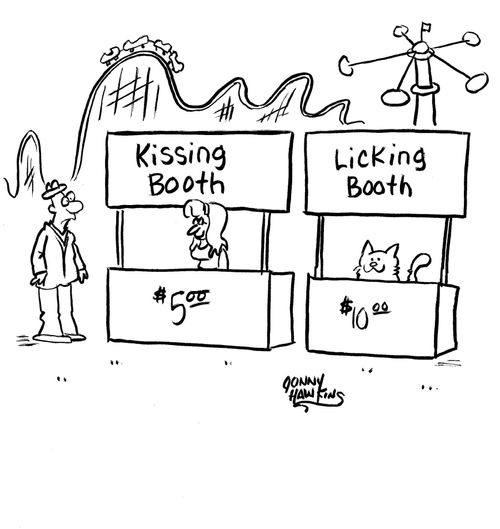 Cat manning the Licking Booth.