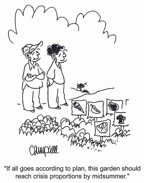 'If all goes according to plan, this garden should reach crisis proportions by midsummer.'