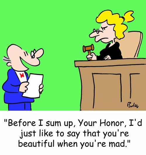 'Before I sum up, Your Honor, I'd just like to say that you're beautiful when you're mad.'