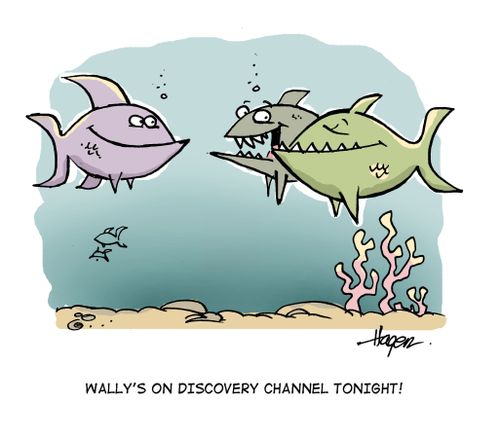 Wally's on Discovery Channel tonight!