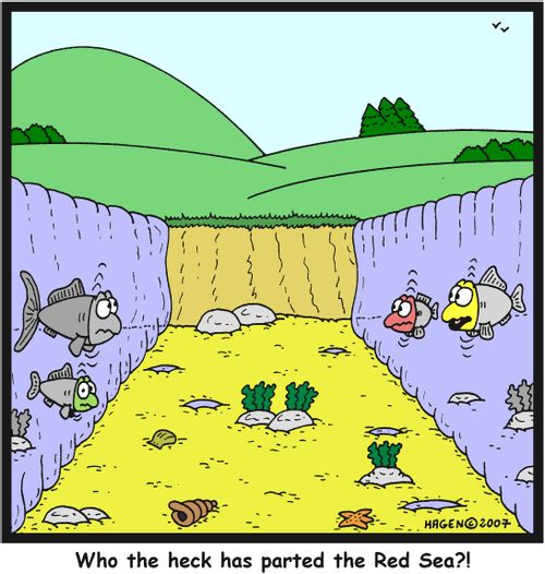 'Who the heck has parted the Red Sea?!'