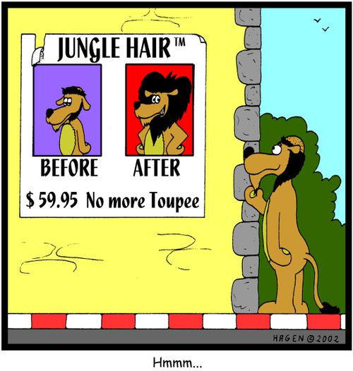 Lion considers hair treatment shampoo.