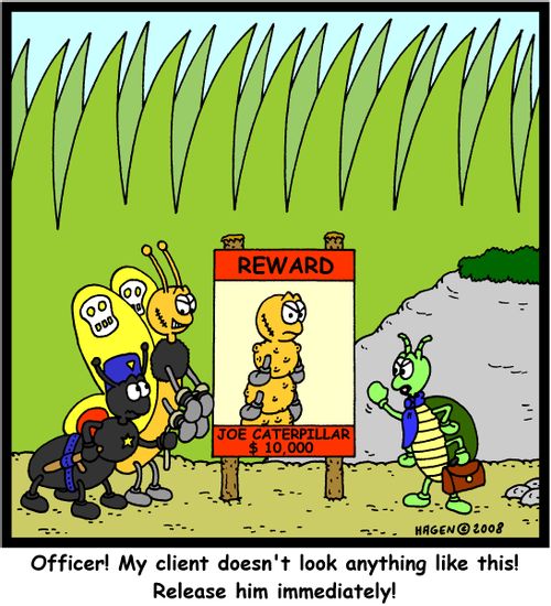 Officer! My client doesn't look anything like this! Release him immediately!