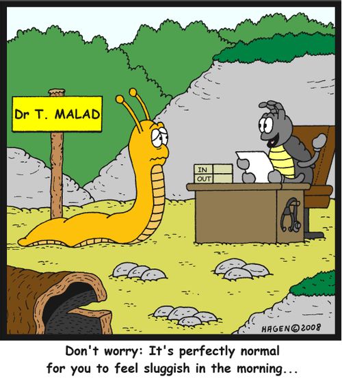 'Don't worry: It's perfectly normal for you to feel sluggish in the morning...'