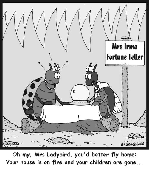 'Oh my, Mrs Ladybird, you'd better fly home: Your house is on fire and your children are gone...'