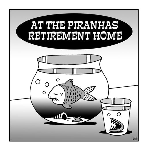 At the piranhas retirement home (teeth in a jar next to fish tank).