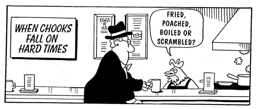 When Chooks Fall on Hard Times