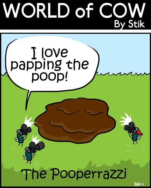 The Pooperrazzi