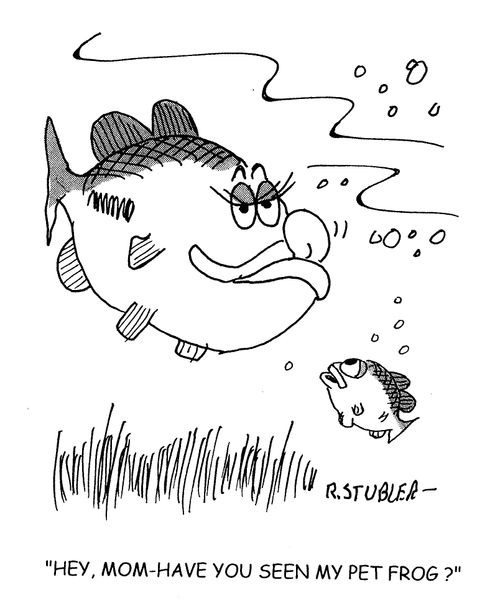 'Hey,mom-have you seen my pet frog?'