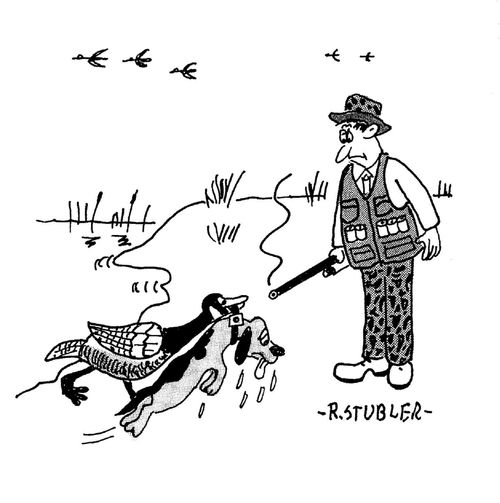 'Goose rescuing bird dog.'