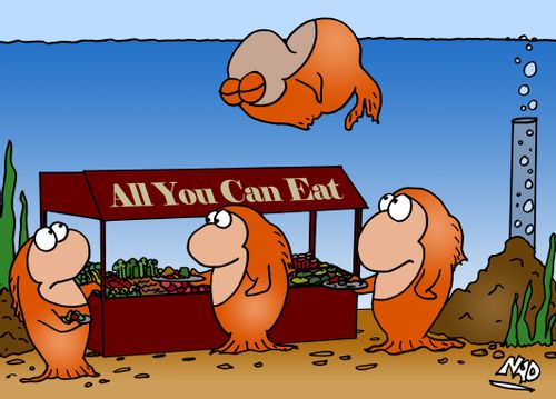 All you can eat buffet in a goldfish bowl