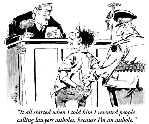 'It all started when I told him I resented people calling lawyers assholes, because I'm an asshole.'