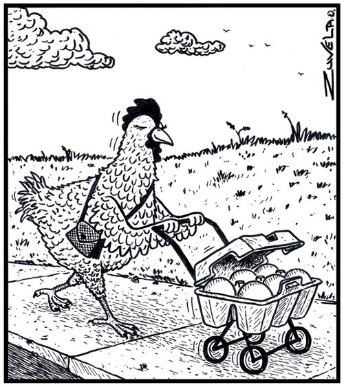 A mother hen pushing her baby eggs in a egg carton pram.