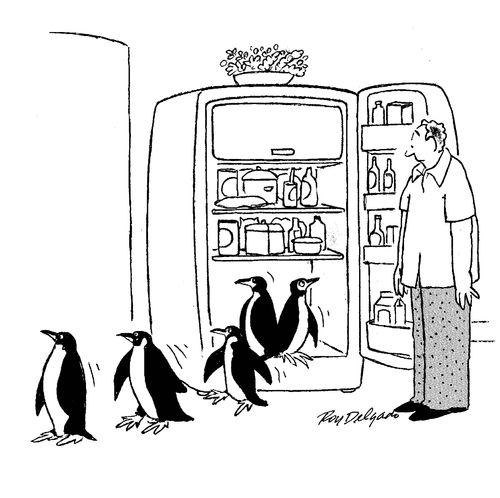 Penguins emerging from a fridge.