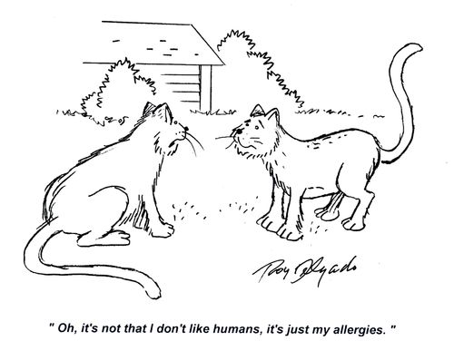 'Oh, it's not that I don't like humans, it's just my allergies.'