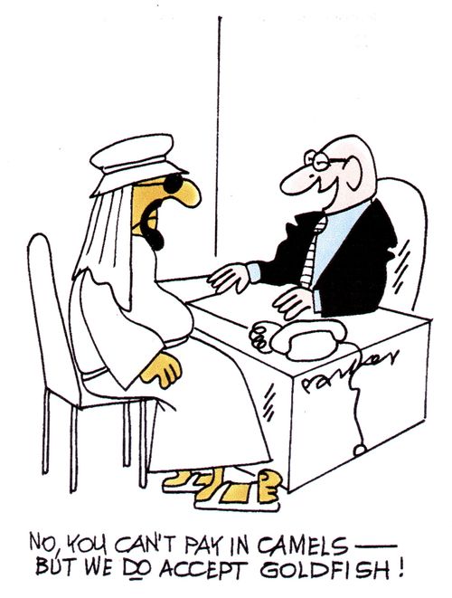 "No, you can't pay in camels -but we do accept goldfish!"