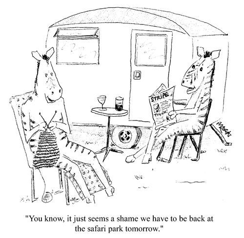 Zebras on holiday