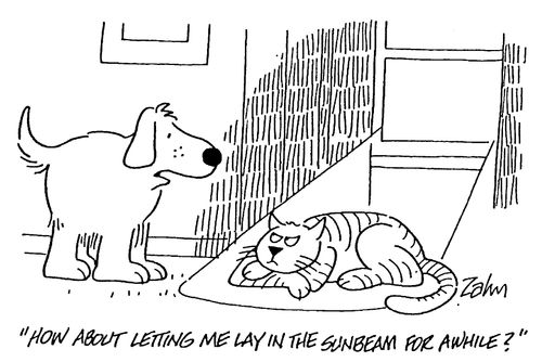 "How about letting me lay in the sunbeam for a little while?"