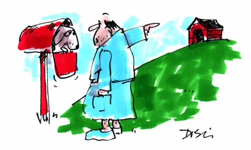 Man pointing to the dogs kennel while the dog prefers the mail box
