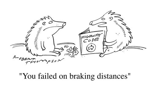 "You failed on breaking distances"