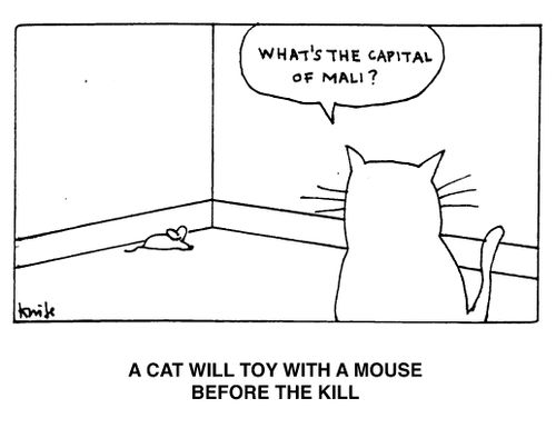 A cat will toy with a mouse before the kill. "What's the capital of mali?"