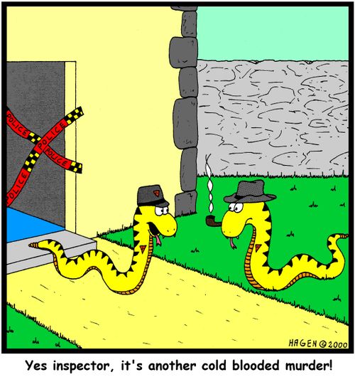 'Yes inspector, it's another cold blooded murder!'